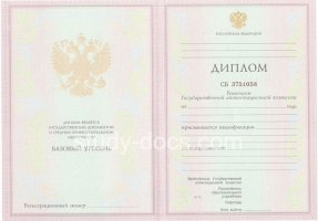 Диплом колледжа 2003-2006 в Елеце